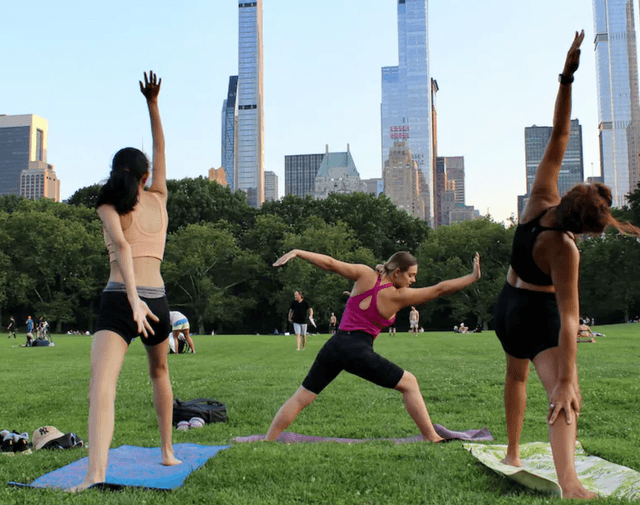 Yoga in Central Park's profile picture