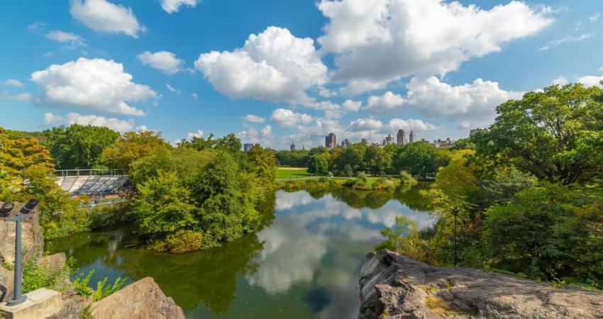 Turtle Pond Fishing spot in Central Park