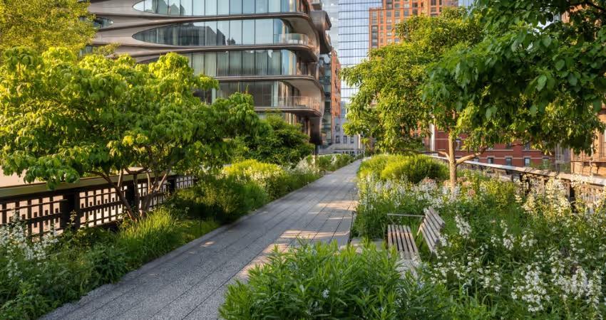 Outdoor Movies in New York