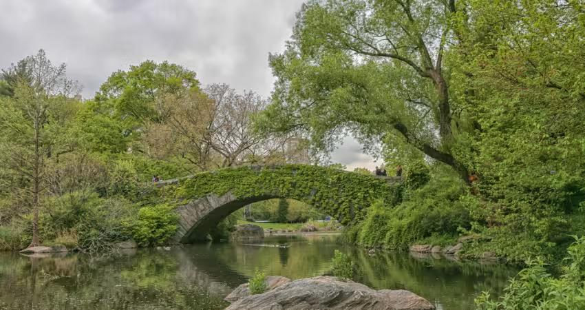 Gapstow Bridge Iconic Instagrammable Spots in NYC