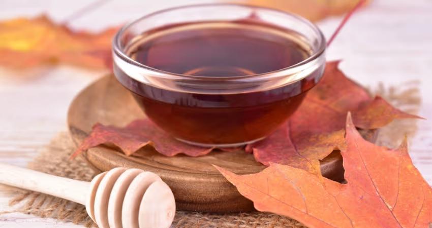 Taste Maple syrup on Maple Sugar Bush Tour