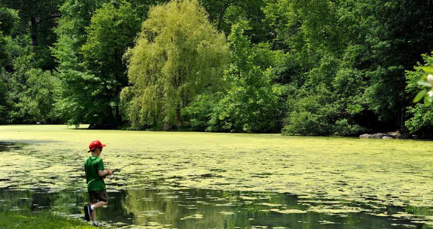 Fishing in Central Park NYC