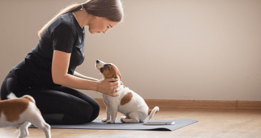 What Is Puppy Yoga