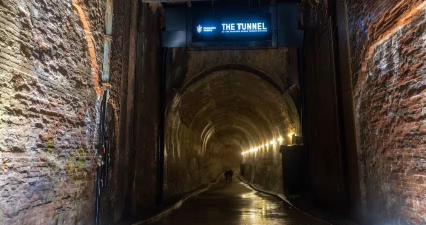 Best Activities at Niagara Falls in Winter