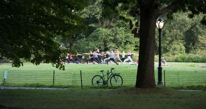 Affordable Yoga in Central Park NYC