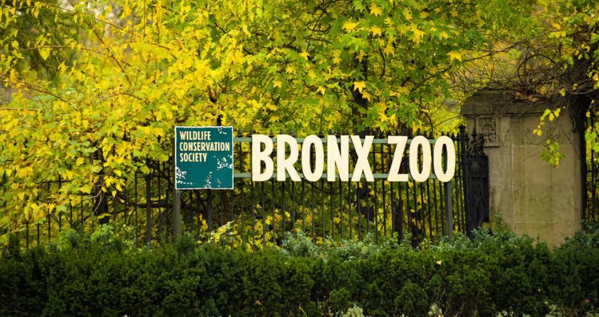 Bronx Zoo: Best Time to Visit, Must-See Exhibits, & Tips
