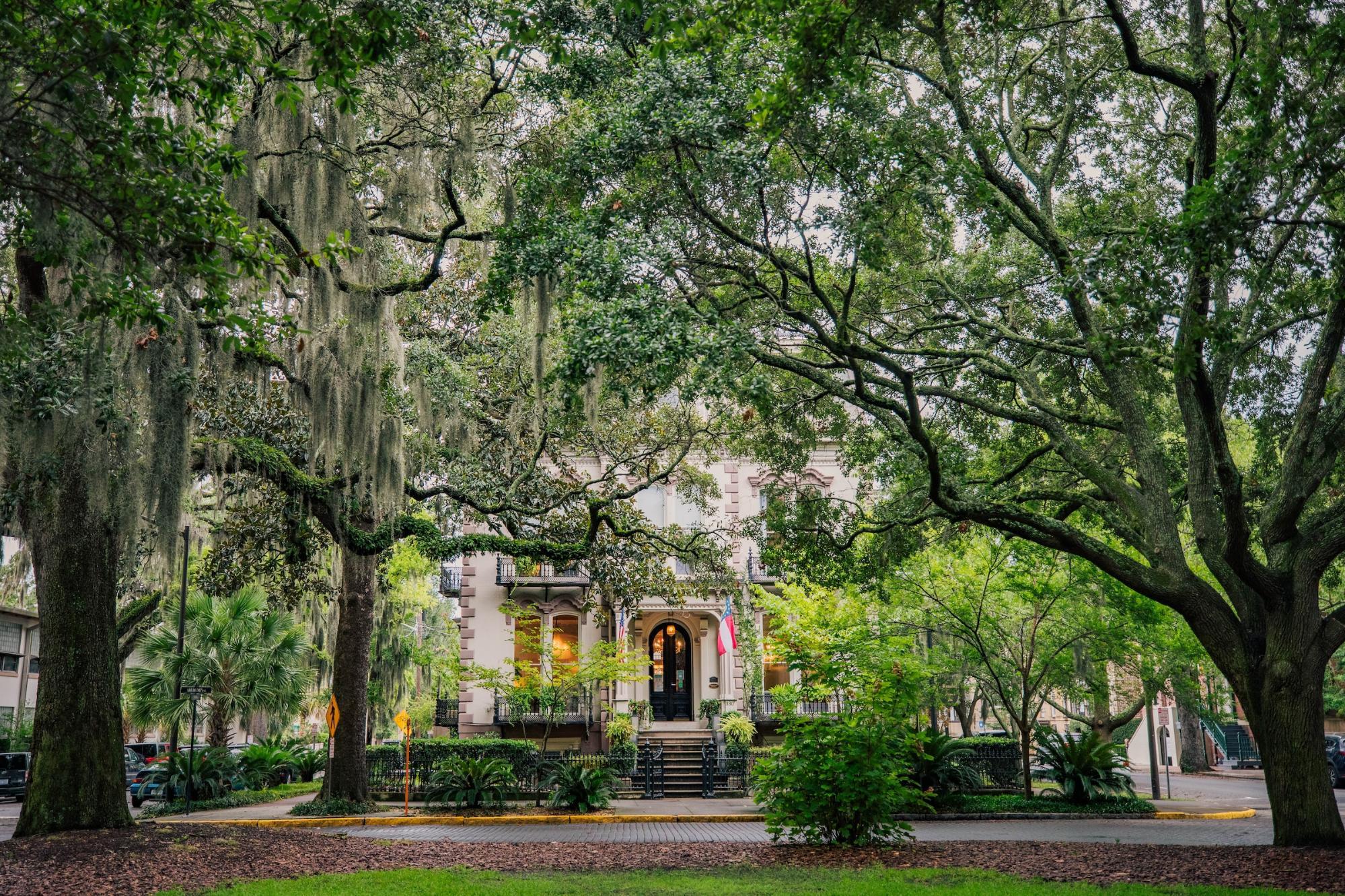 What is the best Time to Visit Savannah.jpg
